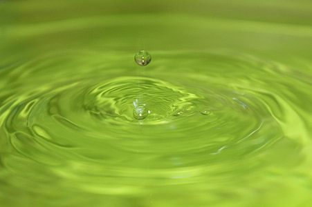 selective focus photography of water thumbnail