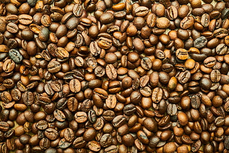 coffee beans thumbnail