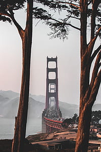 photography of red steel bridge thumbnail