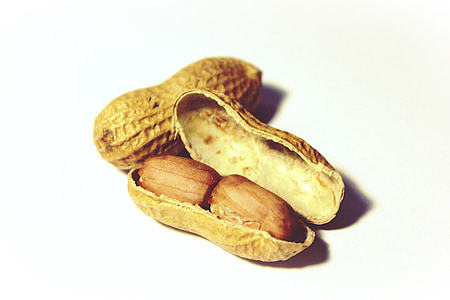 peanut sed thumbnail