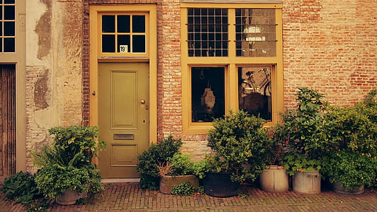 photo of closed door between plants thumbnail