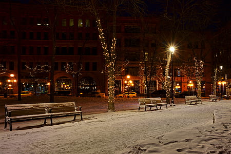 Photo of Snow Covered Benches in the Street thumbnail