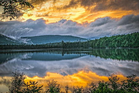 body of water surrounded by trees thumbnail
