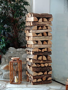 file of brown fire woods thumbnail
