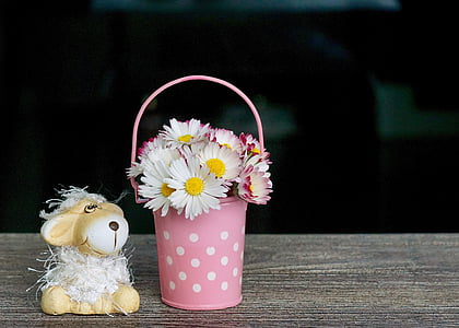 selective focus photography of white petaled flowers thumbnail