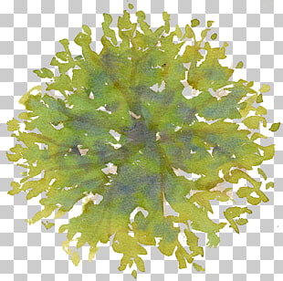 Tree Site plan Drawing, Tree Top, green and yellow abstract art painting PNG clipart