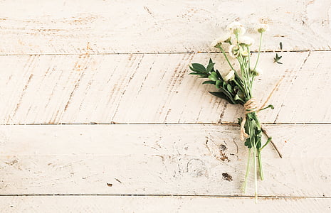 rule of thirds photography of white rose thumbnail
