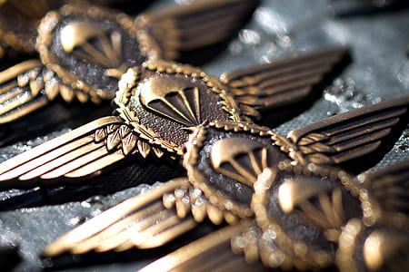 close-up photo of paratrooper pin badges thumbnail
