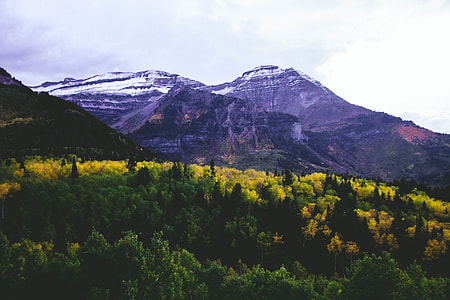 aerial view photography of mountain and trees thumbnail
