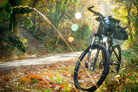 black motorized bike parked on plants thumbnail