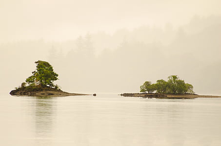 green leafed trees surrounded by water under cloudy sky at daytime thumbnail