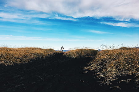 man between brown grasses under blue sky thumbnail