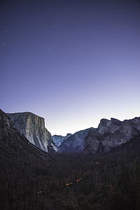 green forest in front of mountains during night thumbnail
