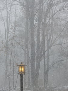 lighted black street light near trees fogs thumbnail