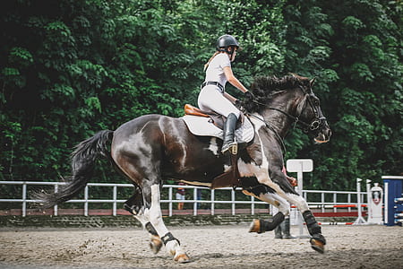 woman riding horse thumbnail