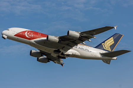airliner on flight thumbnail