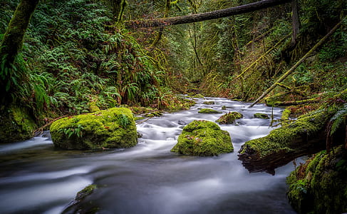 time lapse photography of river thumbnail