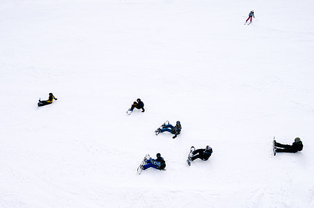photo of people ski on snow thumbnail