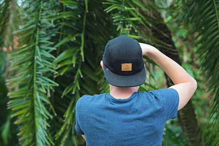 man taking photograph of coconut palm tree at daytime thumbnail