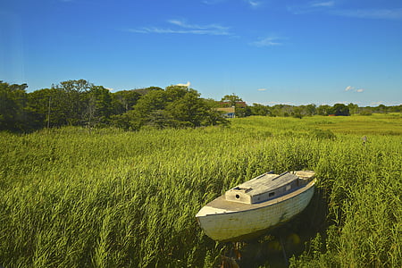 brown boat on green grass thumbnail