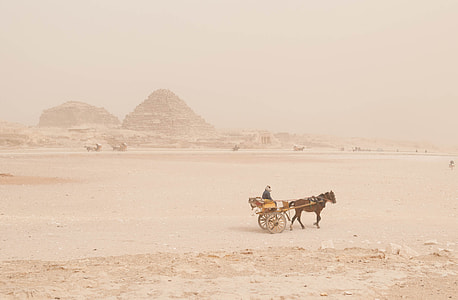 person riding carriage with horse on desert thumbnail