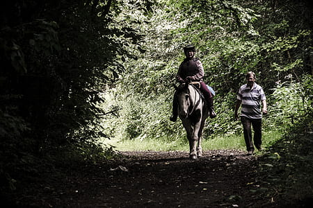 person ride in horse during daytime thumbnail