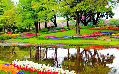 Garden of Europe in the Lisse, Netherlands thumbnail