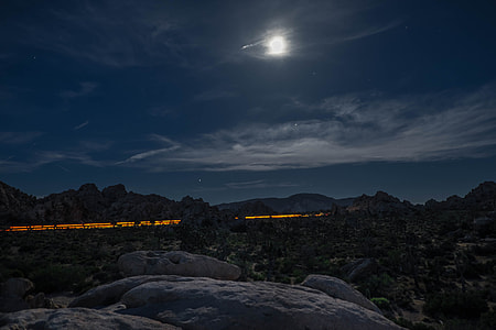 view of road and trees during full moon thumbnail