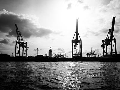 grayscale photography of crane near body of water thumbnail