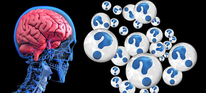 human brain illustration thumbnail