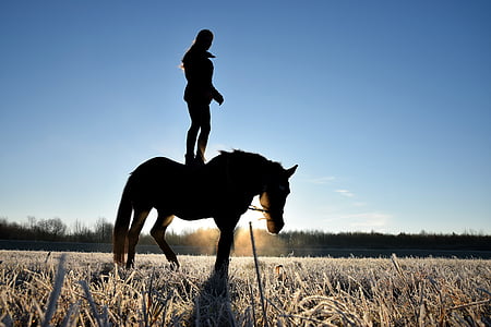 person standing on the back of horse thumbnail