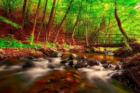 timelapse photography of body of water thumbnail