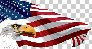 Flag of the United States , American Flag and Eagle Transparent , U.S. flag PNG clipart