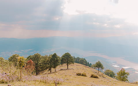 Green Trees on Top of Mountain thumbnail