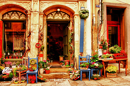 several chairs with plants near concrete structure thumbnail