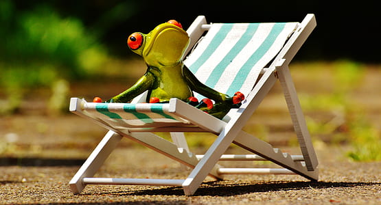 green frog toy on chair thumbnail