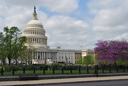 White House, Washington DC thumbnail