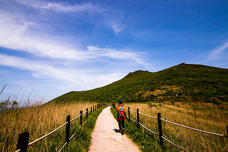 person walking on pathway between fence at daytime thumbnail