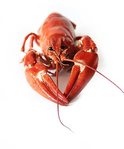 red lobster thumbnail