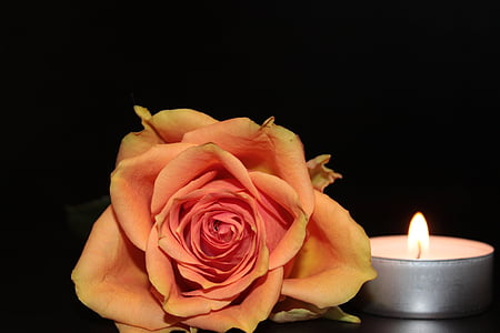 orange rose beside lighted tealight thumbnail