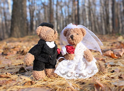 two groom and bride bear plush toys near dried leaves thumbnail