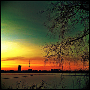 silhouette tree and city at sunset thumbnail