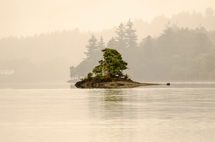 landscape photography of trees near body of water