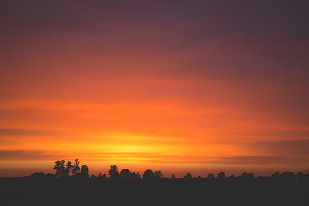 silhouette of trees during sunset thumbnail