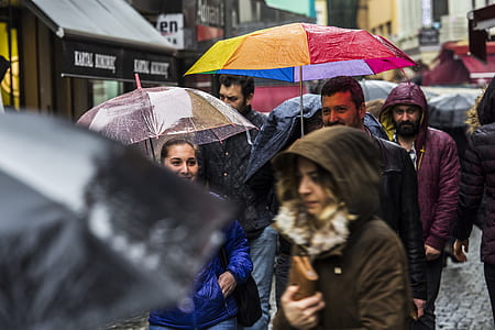 people under umbrella and wearing raincoat thumbnail