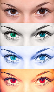eye sketches collage thumbnail