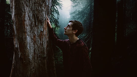 man standing beside tree trunk photo thumbnail