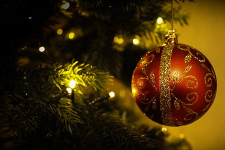 blur, tree, ball, color thumbnail