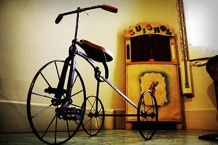 black and brown trike bicycle inside the room thumbnail