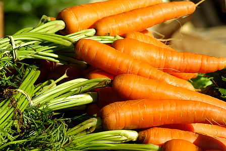 carrot lot thumbnail